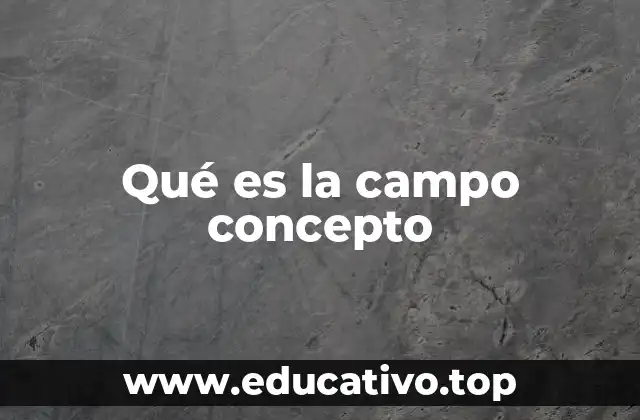 Qué es la campo concepto