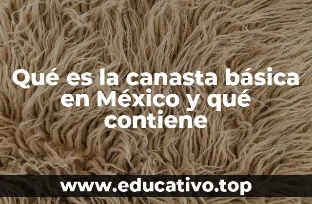 Qué es la canasta básica en México y qué contiene
