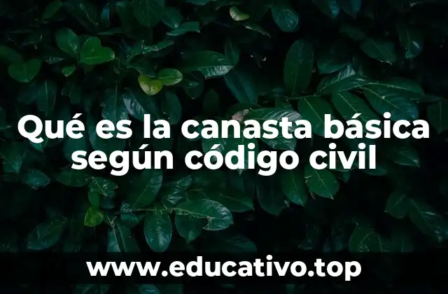 Qué es la canasta básica según código civil