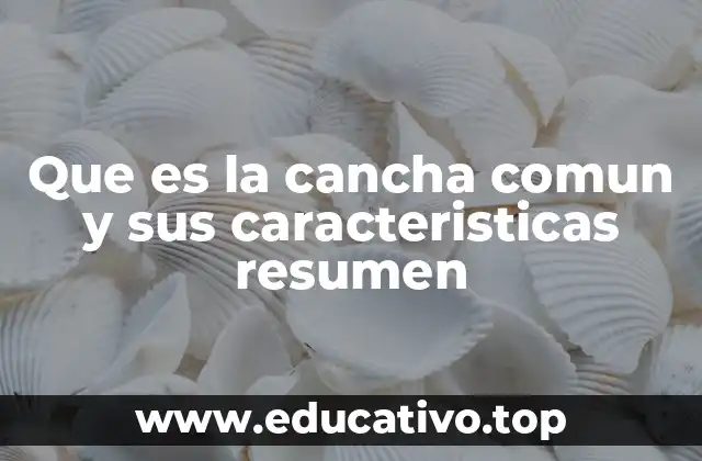 Que es la cancha comun y sus caracteristicas resumen