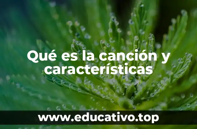 Qué es la canción y características