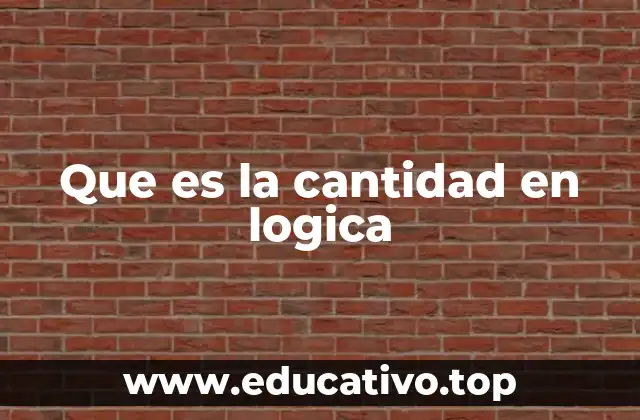 Que es la cantidad en logica