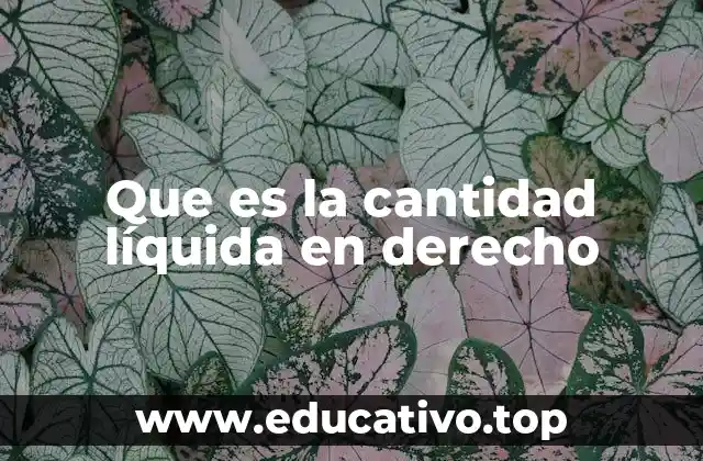 Que es la cantidad líquida en derecho
