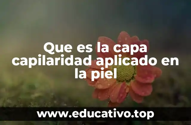Que es la capa capilaridad aplicado en la piel