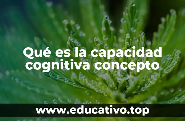 Qué es la capacidad cognitiva concepto