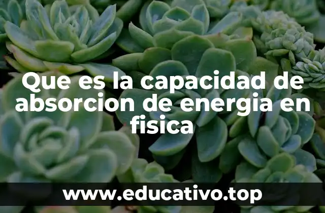 Que es la capacidad de absorcion de energia en fisica