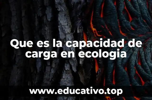 Que es la capacidad de carga en ecologia