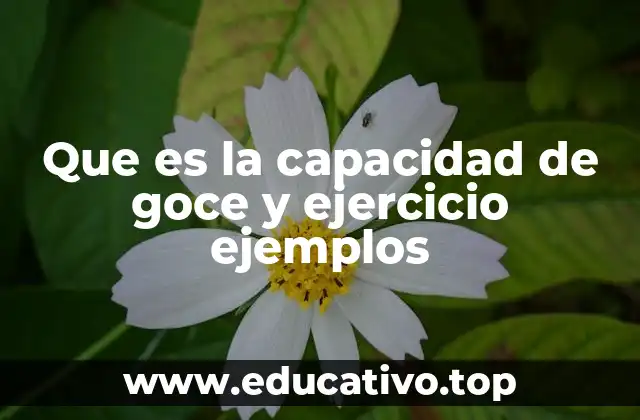 Que es la capacidad de goce y ejercicio ejemplos