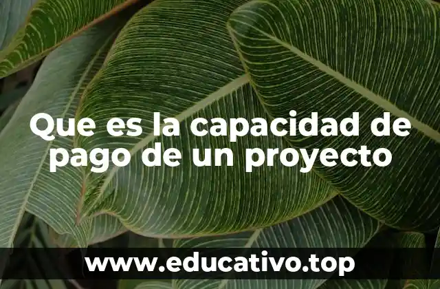 Que es la capacidad de pago de un proyecto