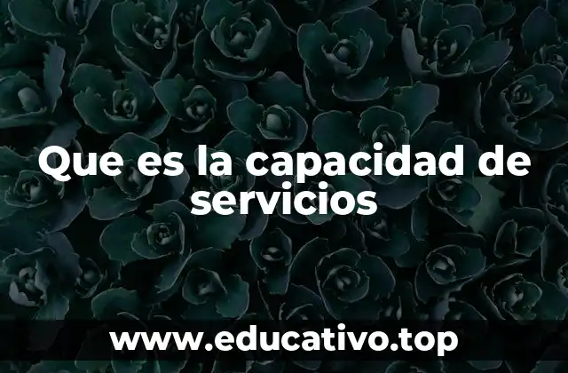 Que es la capacidad de servicios