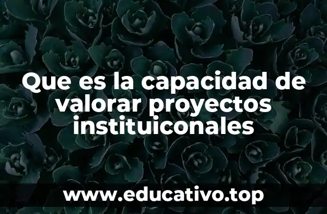 Que es la capacidad de valorar proyectos instituiconales