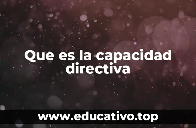 Que es la capacidad directiva