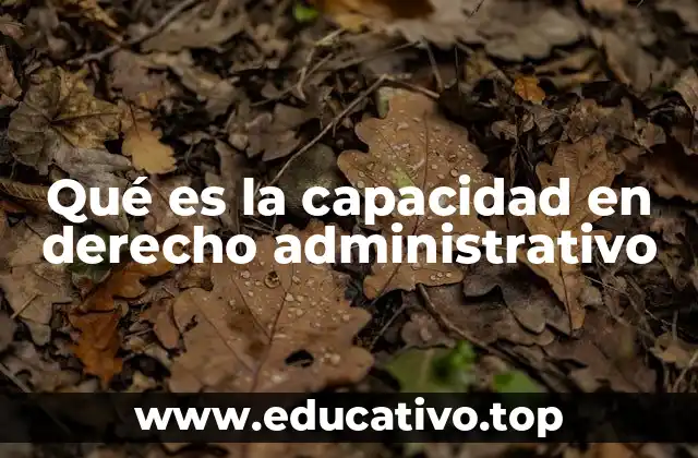 Qué es la capacidad en derecho administrativo
