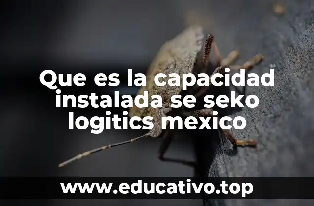 Que es la capacidad instalada se seko logitics mexico