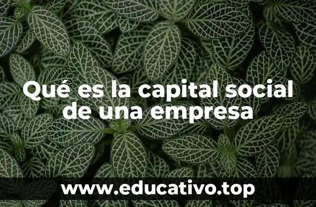 Qué es la capital social de una empresa