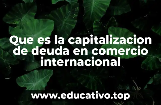 Que es la capitalizacion de deuda en comercio internacional