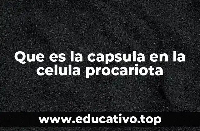 Que es la capsula en la celula procariota