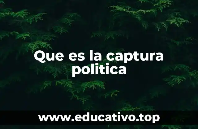 Que es la captura politica