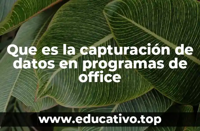 Que es la capturación de datos en programas de office