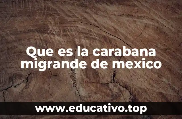 Que es la carabana migrande de mexico