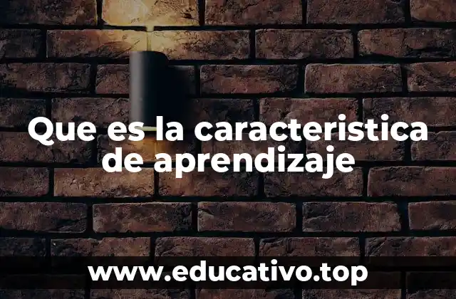 Que es la caracteristica de aprendizaje