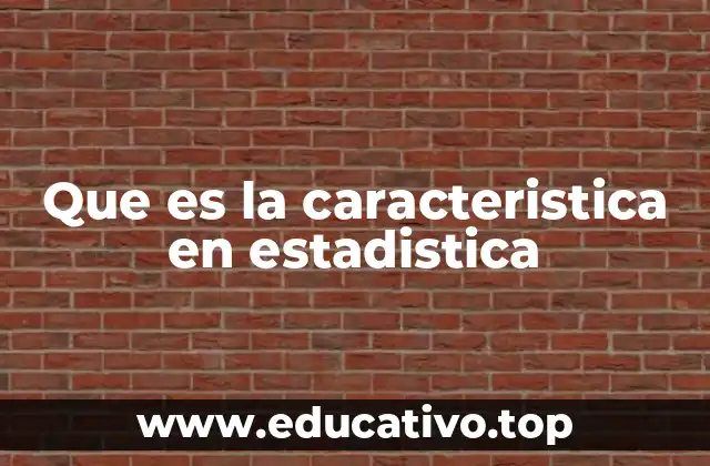 Que es la caracteristica en estadistica