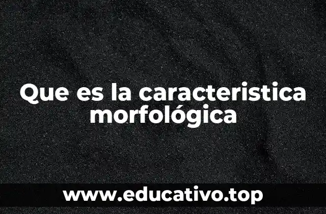 Que es la caracteristica morfológica