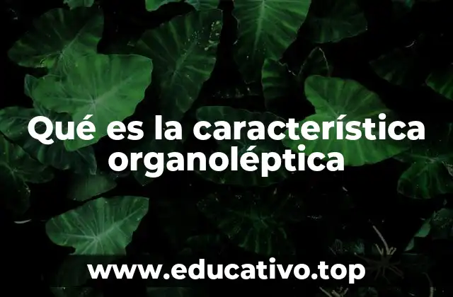 Qué es la característica organoléptica