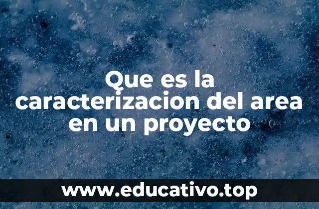 Que es la caracterizacion del area en un proyecto