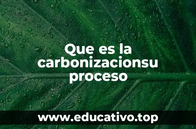 Que es la carbonizacionsu proceso