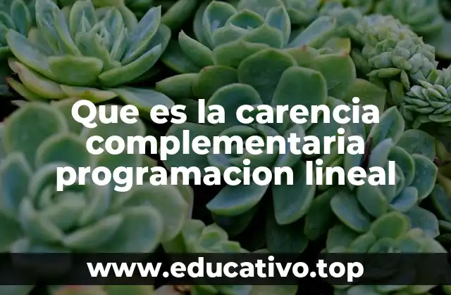 Que es la carencia complementaria programacion lineal