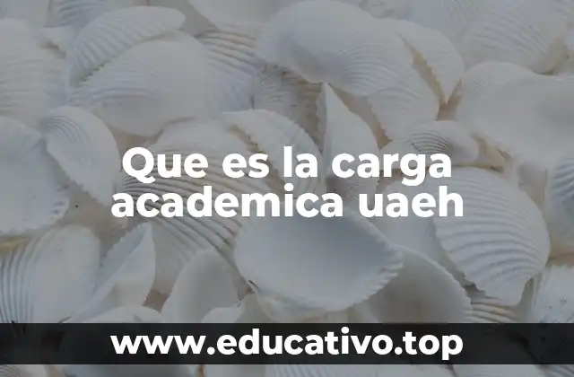 Que es la carga academica uaeh