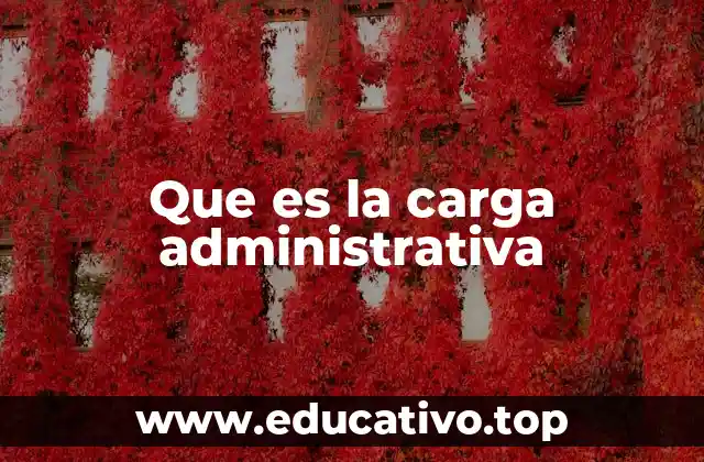 Que es la carga administrativa