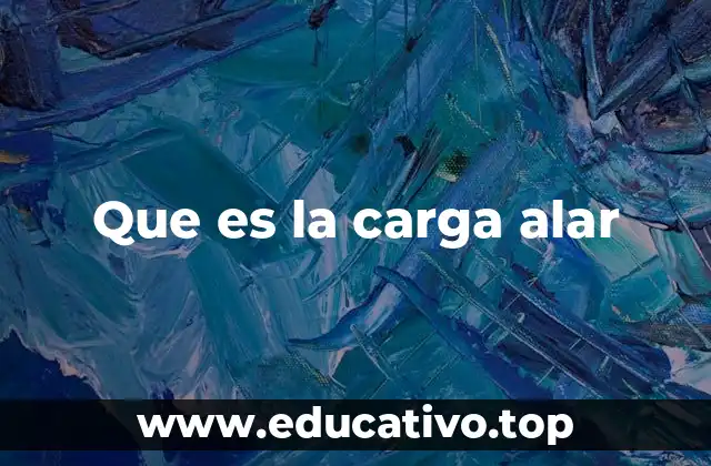 Que es la carga alar