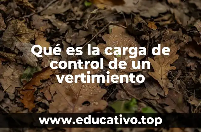 Qué es la carga de control de un vertimiento
