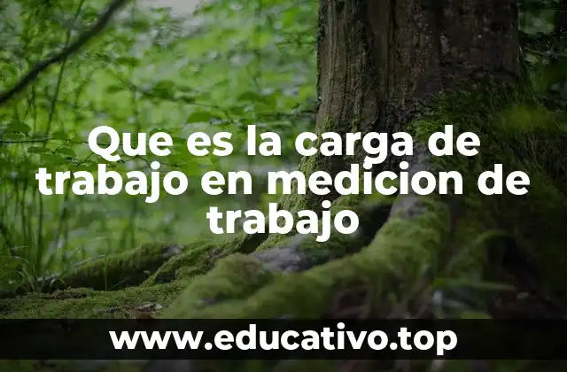 Que es la carga de trabajo en medicion de trabajo