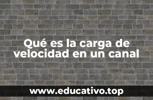 Qué es la carga de velocidad en un canal