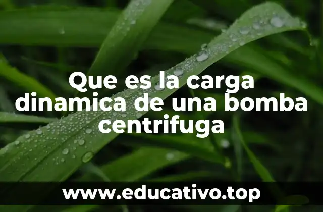 La importancia de la carga dinámica en el desempeño de las bombas centrífugas