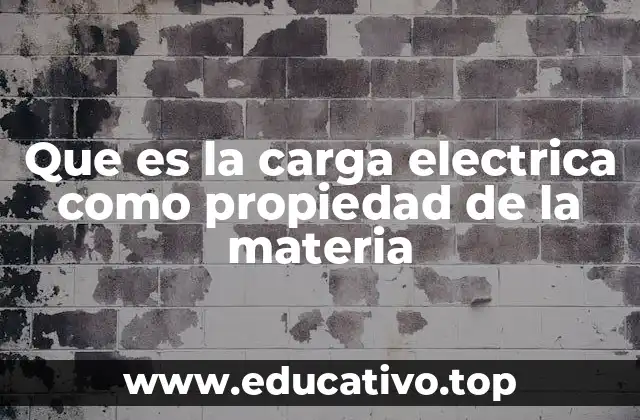 Que es la carga electrica como propiedad de la materia