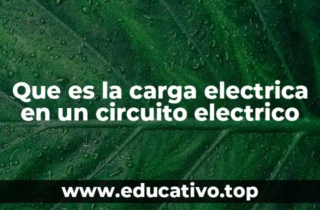 Que es la carga electrica en un circuito electrico