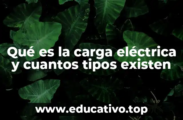 Qué es la carga eléctrica y cuantos tipos existen