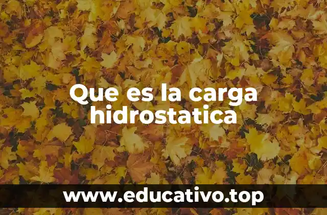 Que es la carga hidrostatica