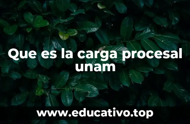 Que es la carga procesal unam