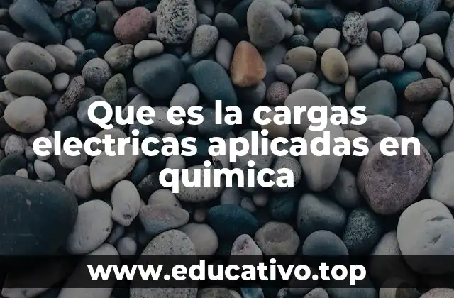 Que es la cargas electricas aplicadas en quimica