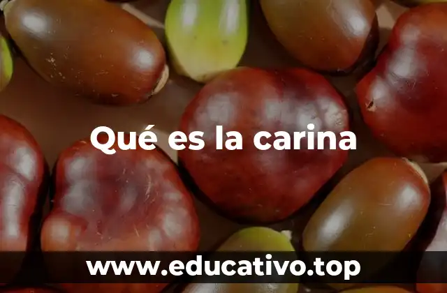 Qué es la carina