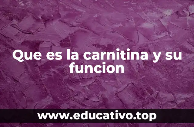 Que es la carnitina y su funcion