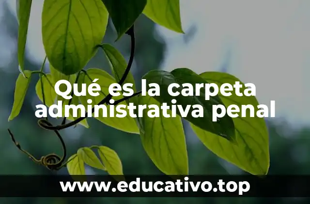 Qué es la carpeta administrativa penal