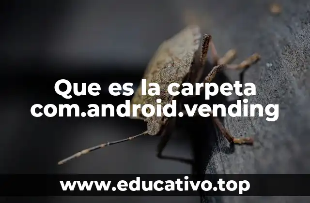 Que es la carpeta com.android.vending