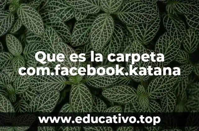 Que es la carpeta com.facebook.katana