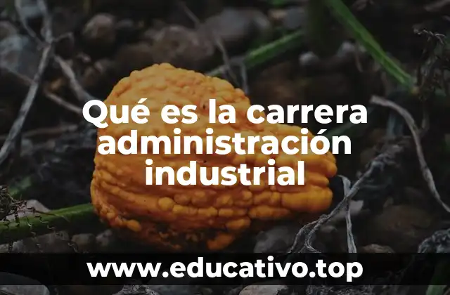 Qué es la carrera administración industrial